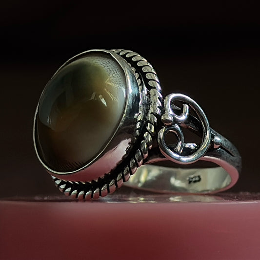 Gomti Chakra Ring – A Divine Symbol of Wealth, Protection & Luxury