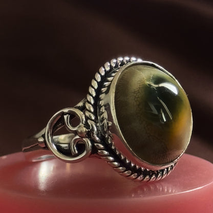 Gomti Chakra Ring – A Divine Symbol of Wealth, Protection & Luxury